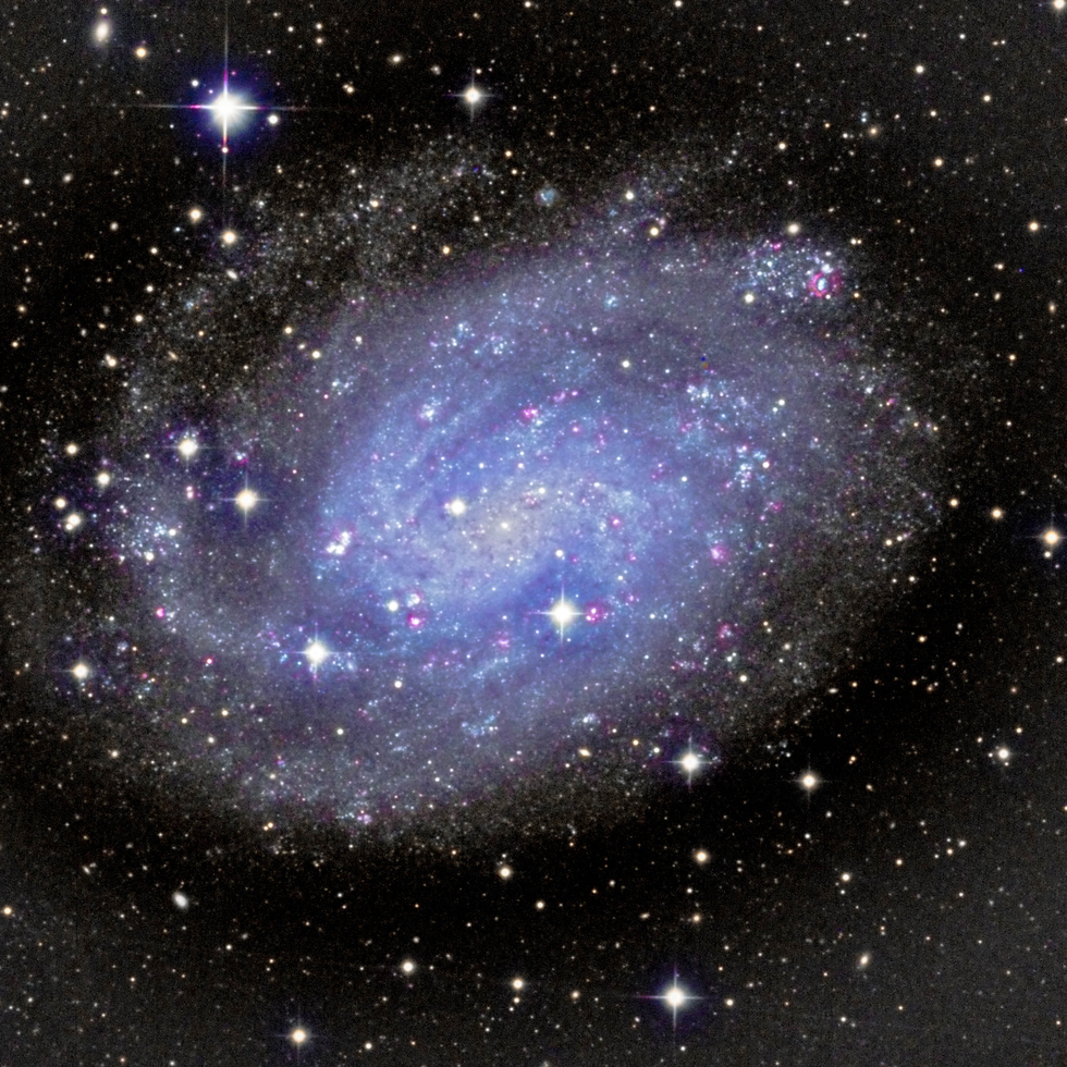 NGC 300 (also known as Caldwell 70) - Pro Data Set