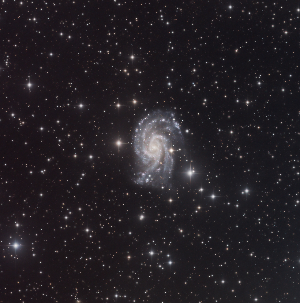 NGC_2835