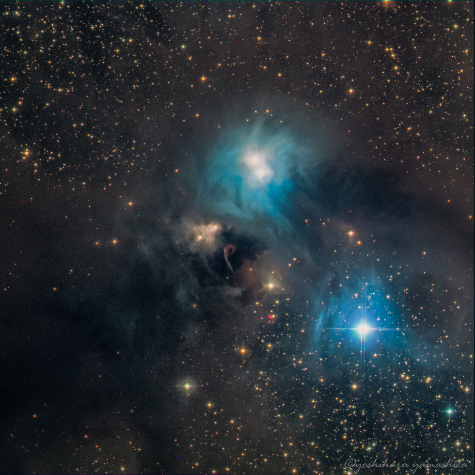61DW267gqUL._AC_UF1000,