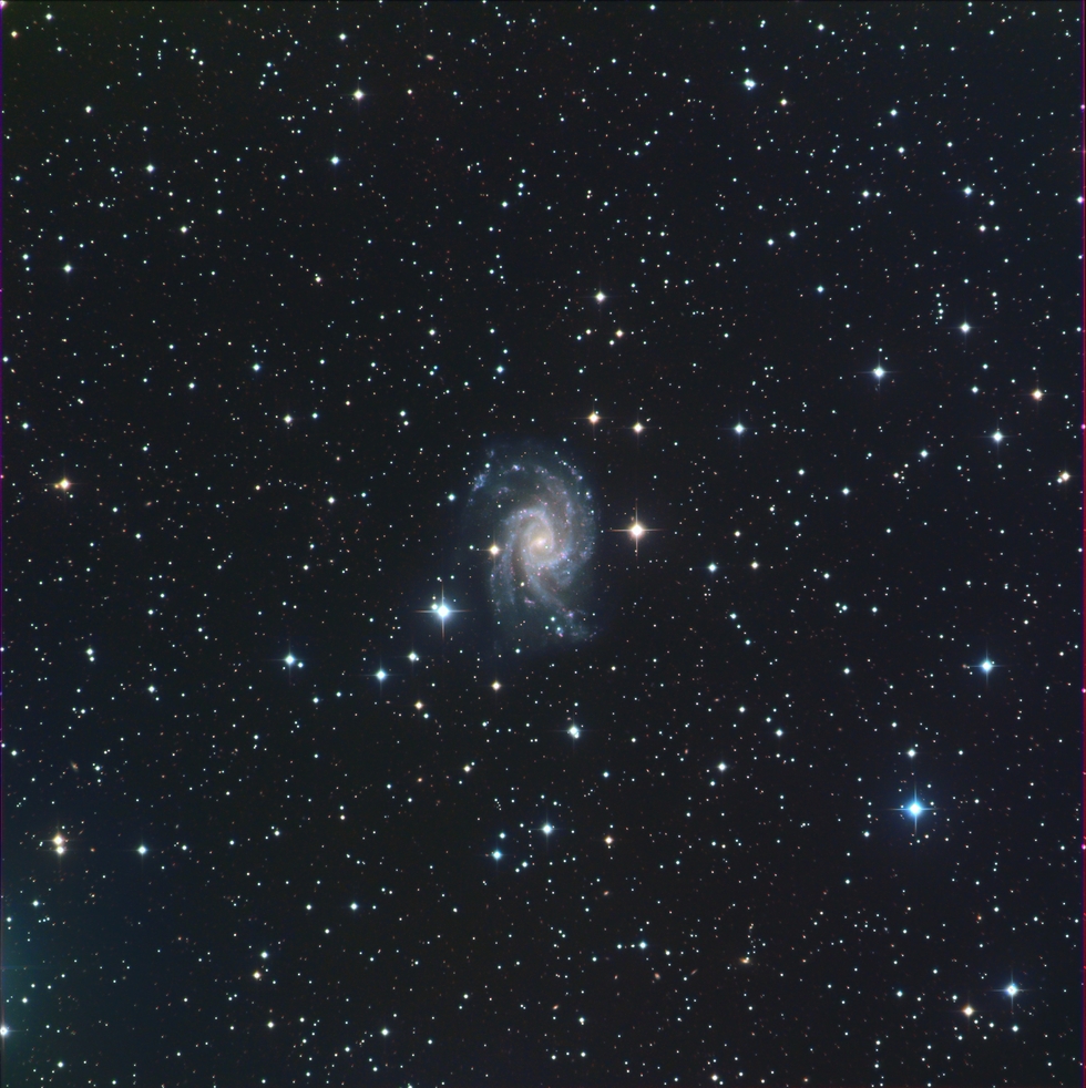 NGC 2835 & A lot of GALAXIES