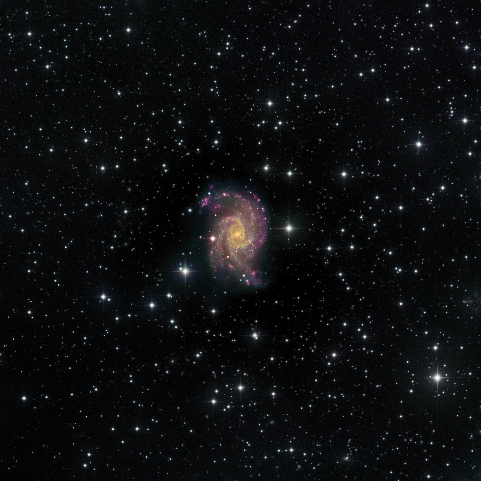 NGC 2835 Pro Data Set