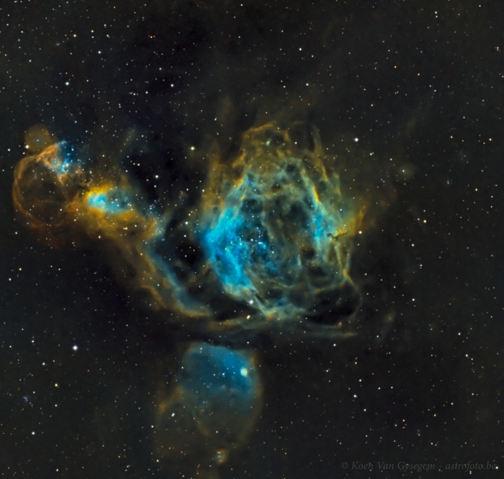 NGC1955, Dorado 