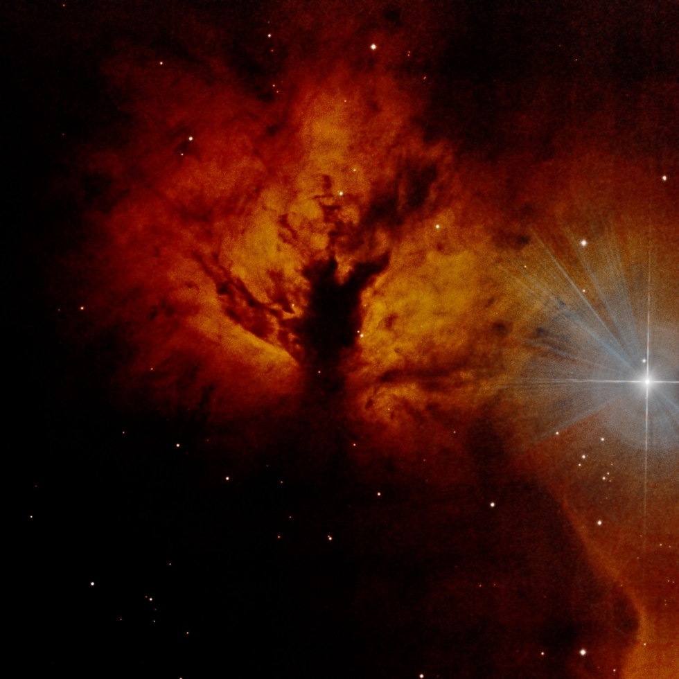 The Flame Nebula NGC2024