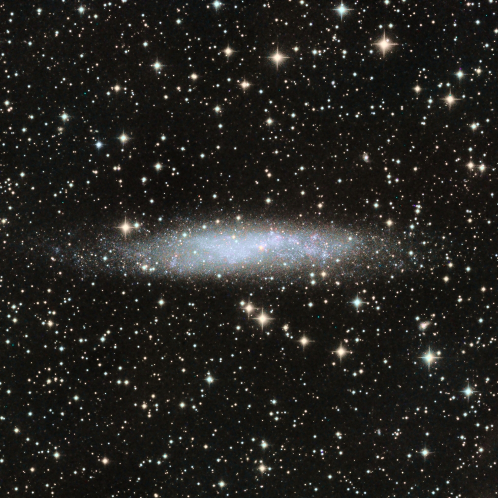 NGC3109 in Hydra