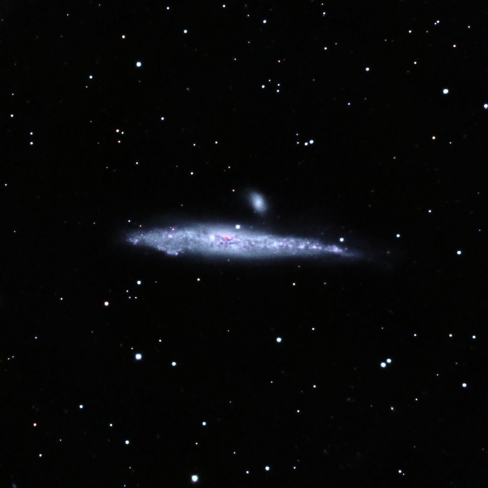 The Whale Galaxy NGC4631