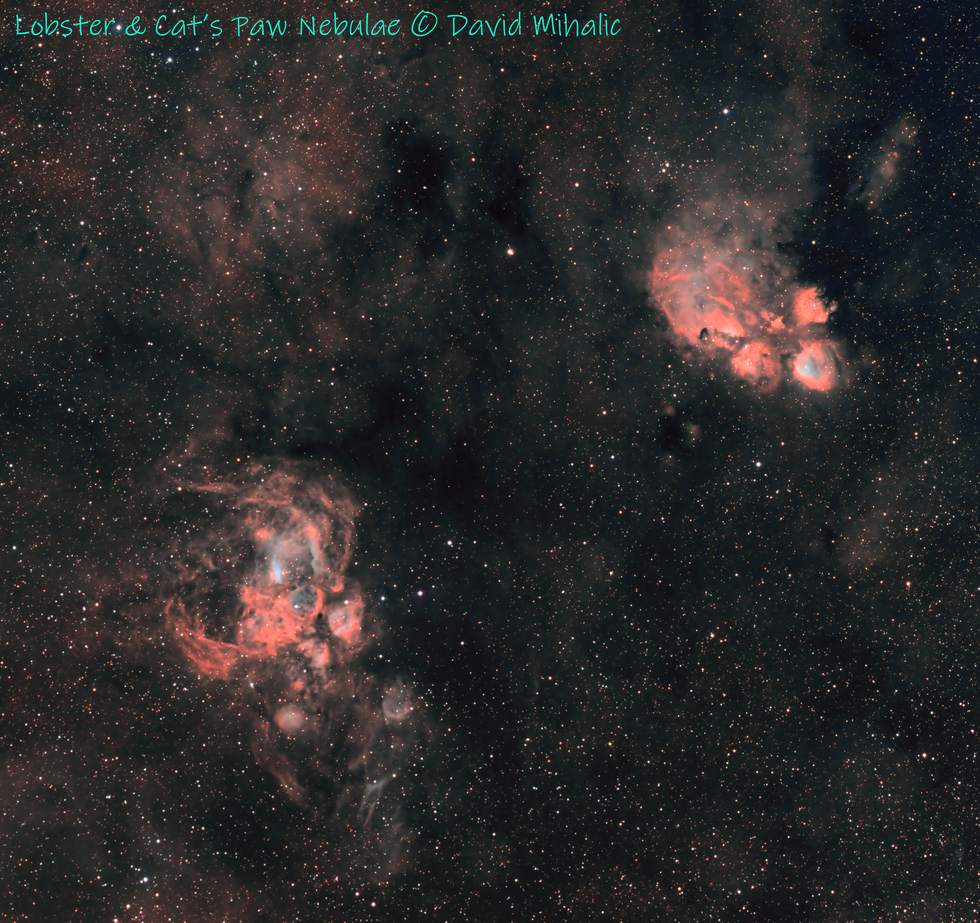Lobster and Cat's Paw Nebulae (SHO) (HOO)