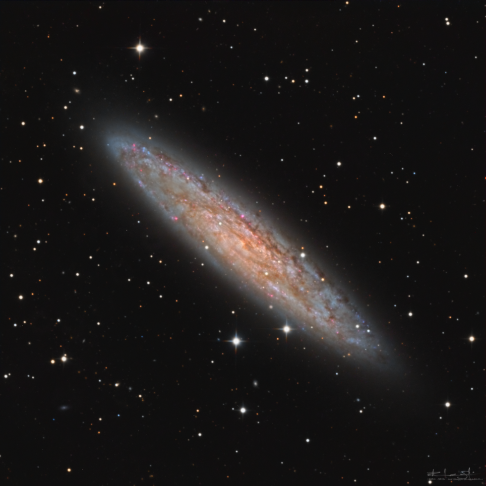 The Sculptor Galaxy - NGC253 | Telescope Live