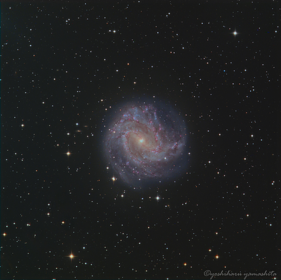 Southern Pinwheel Galaxy and NGC 5236