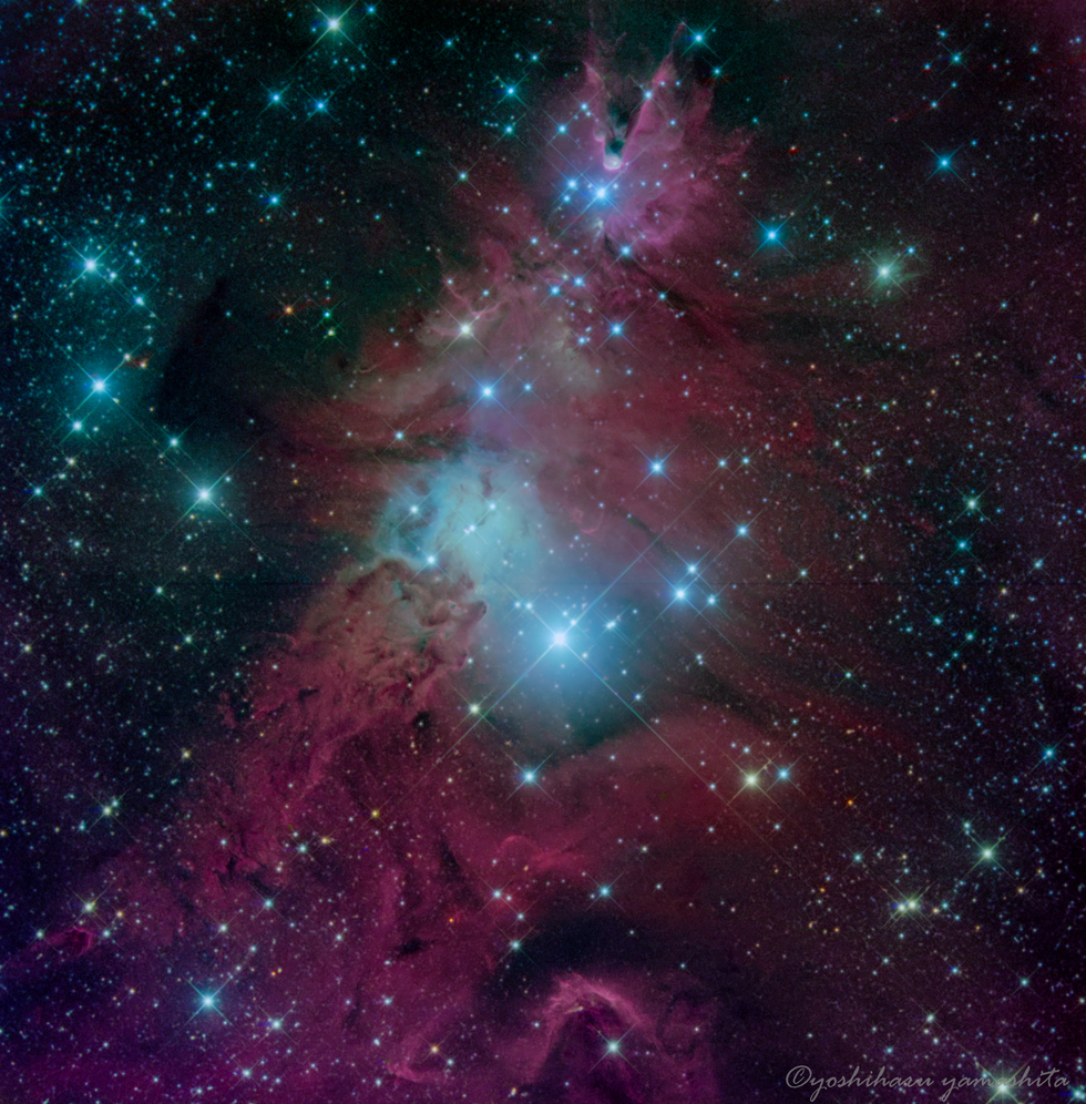 CHRISTMAS TREE CLUSTER & CONE NEBULA