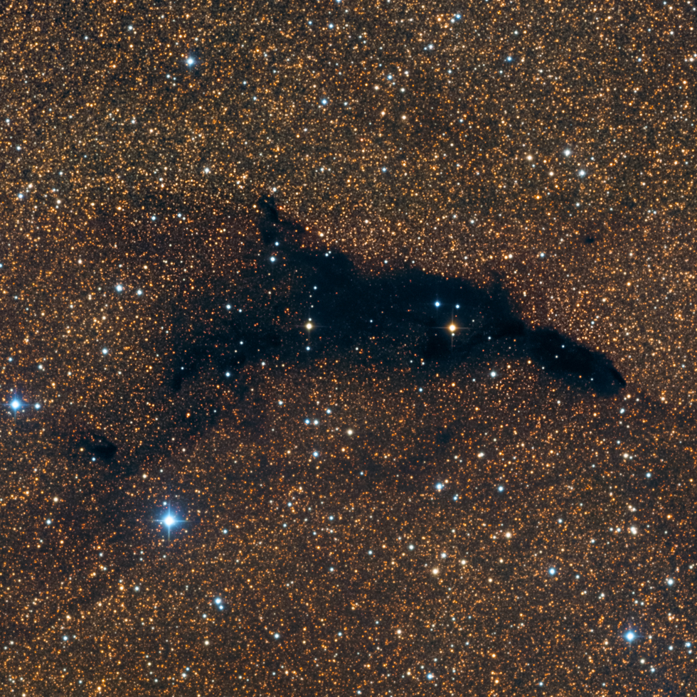 The Dolphin Nebula