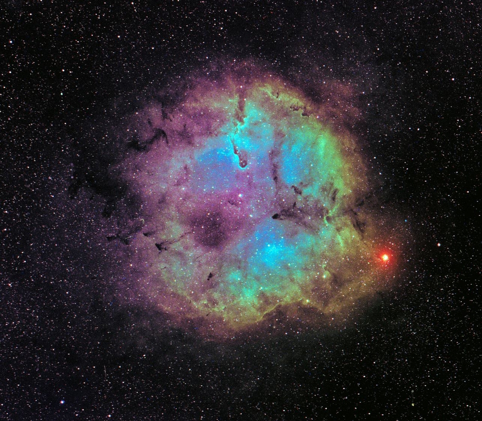 Elephant's Trunk Nebula