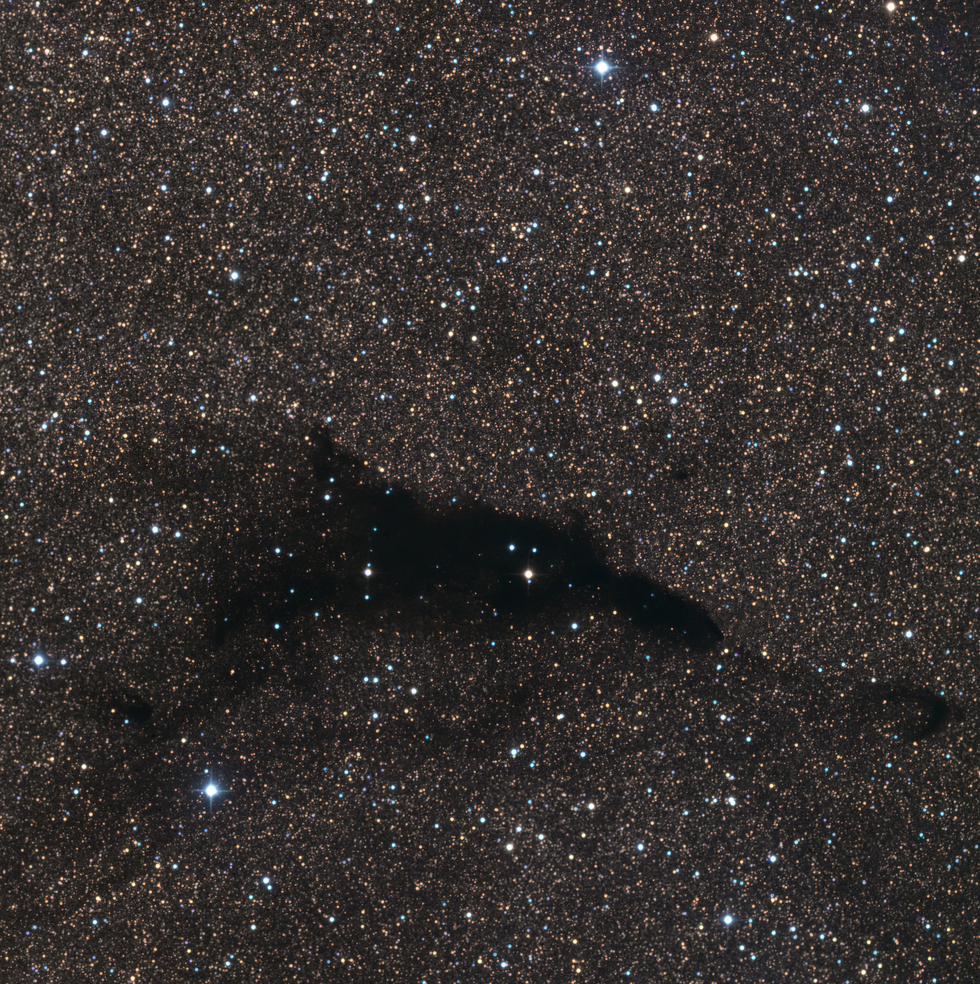 The Dolphin Nebula (Barnard 252)