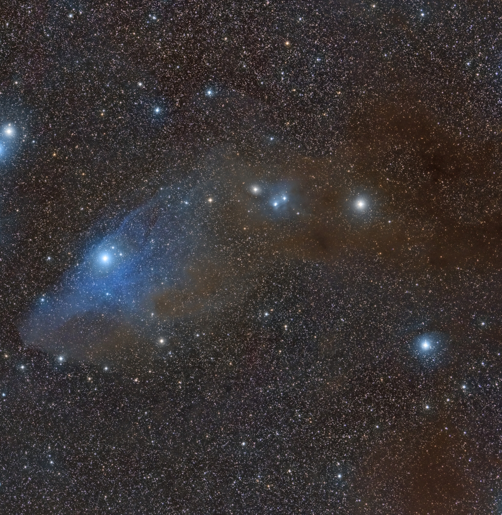 The Blue Horsehead Nebula (IC 4592)