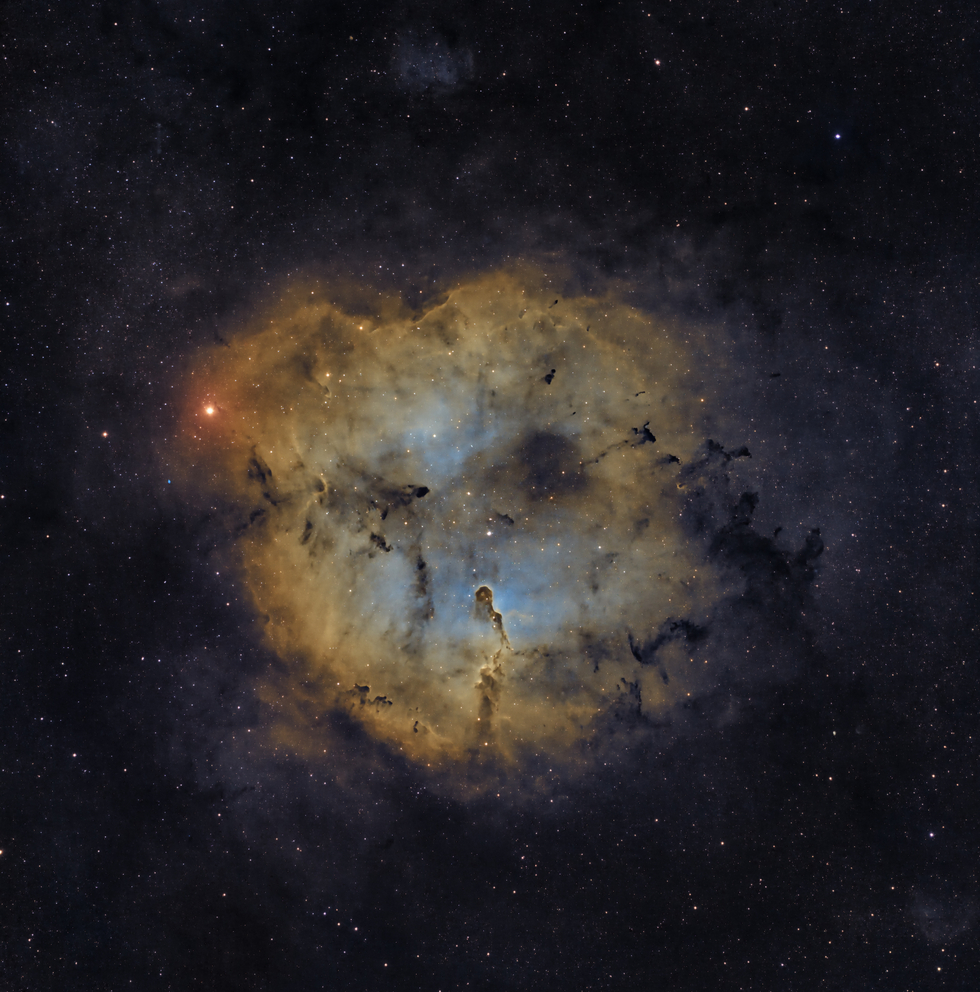 IC 1396 and the Elephant's Trunk Nebula