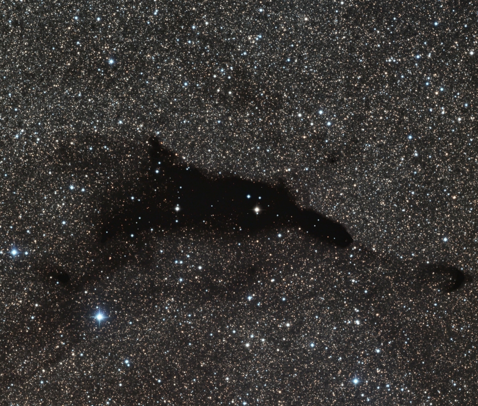 Dolphin Dark Nebula - Barnard 252