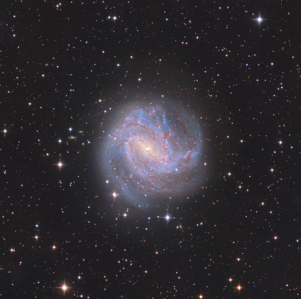 Southern Pinwheel Galaxy