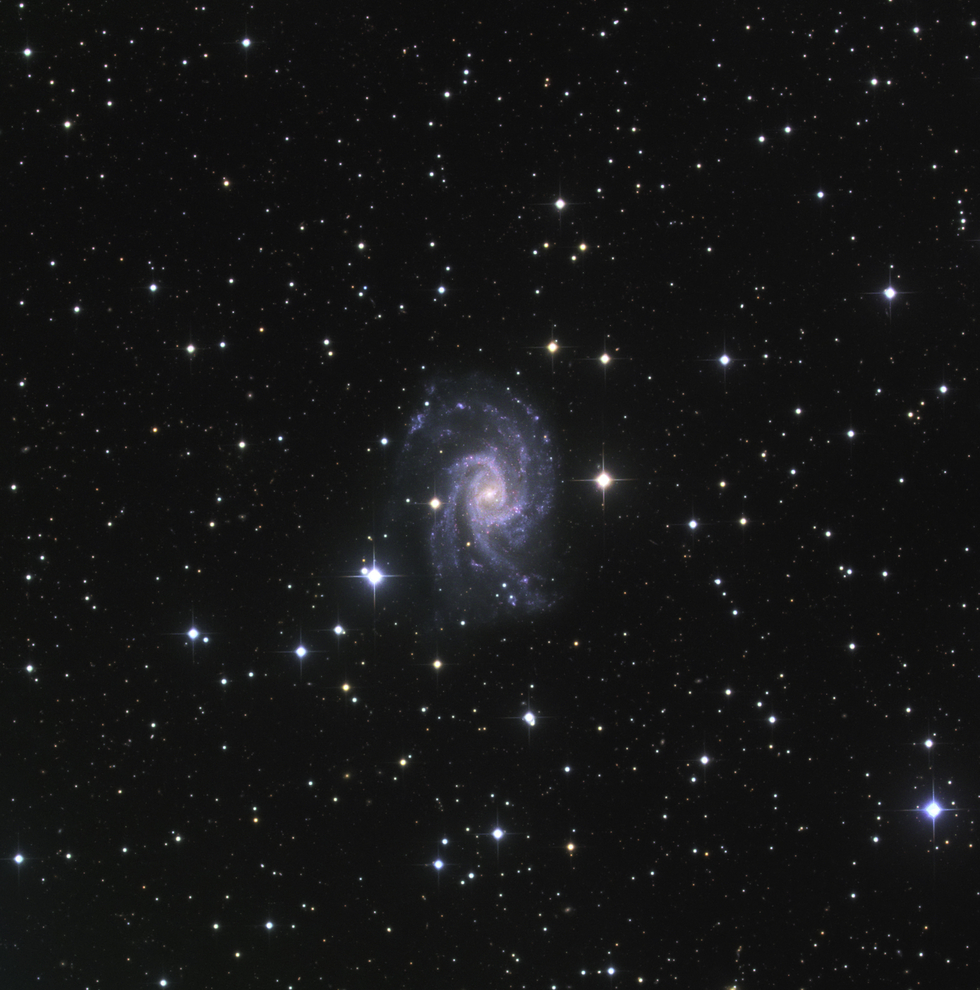 NGC2835