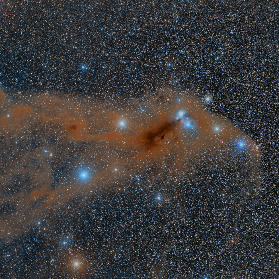 The Anteater Nebula
