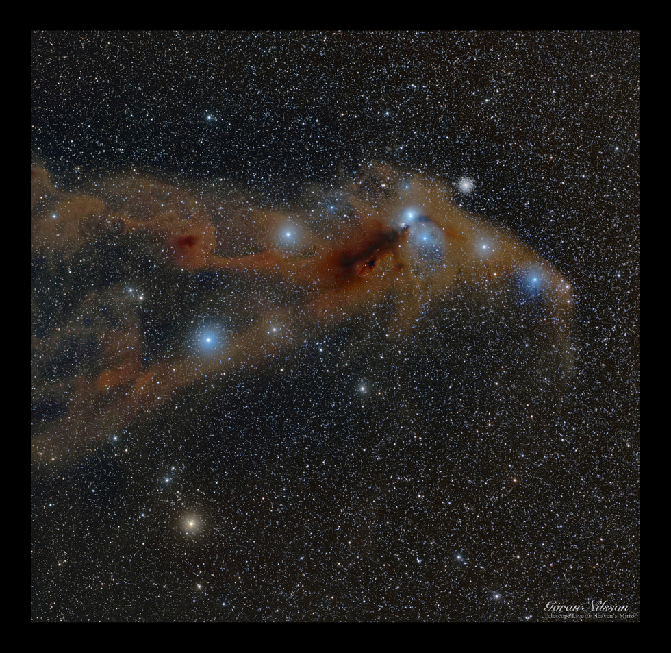The Anteater Nebula NGC6726