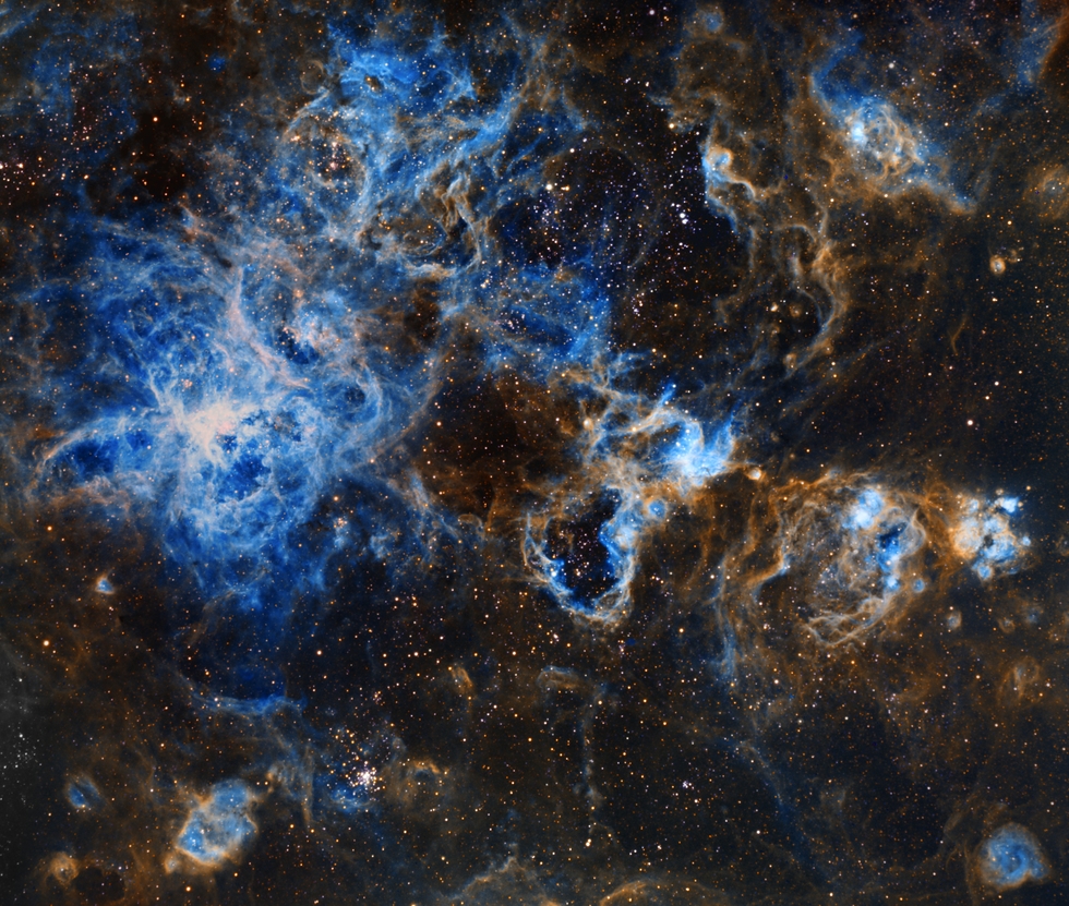 The Tarantula Nebula