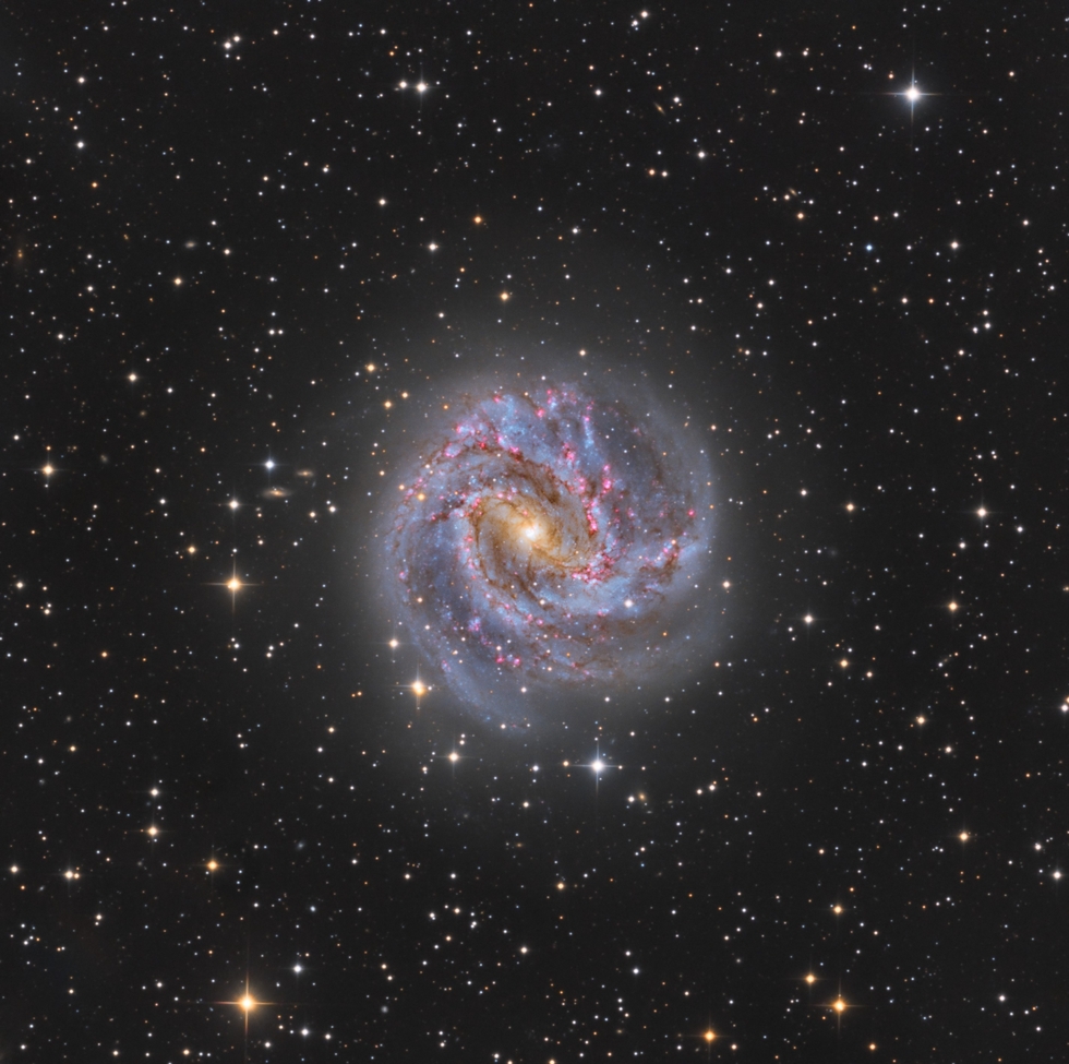 M83 - HaRGB The Southern Pinwheel Galaxy