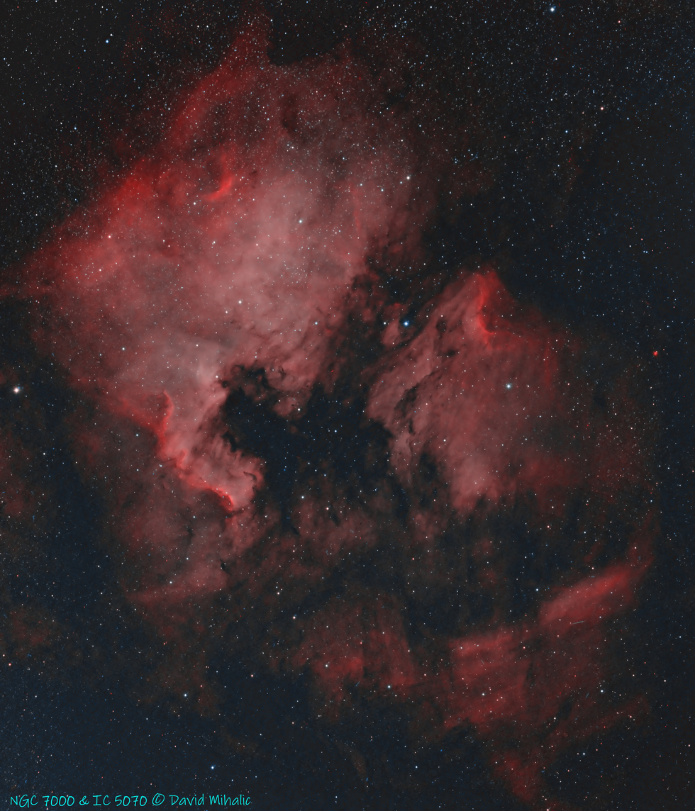 North American & Pelican Nebulae