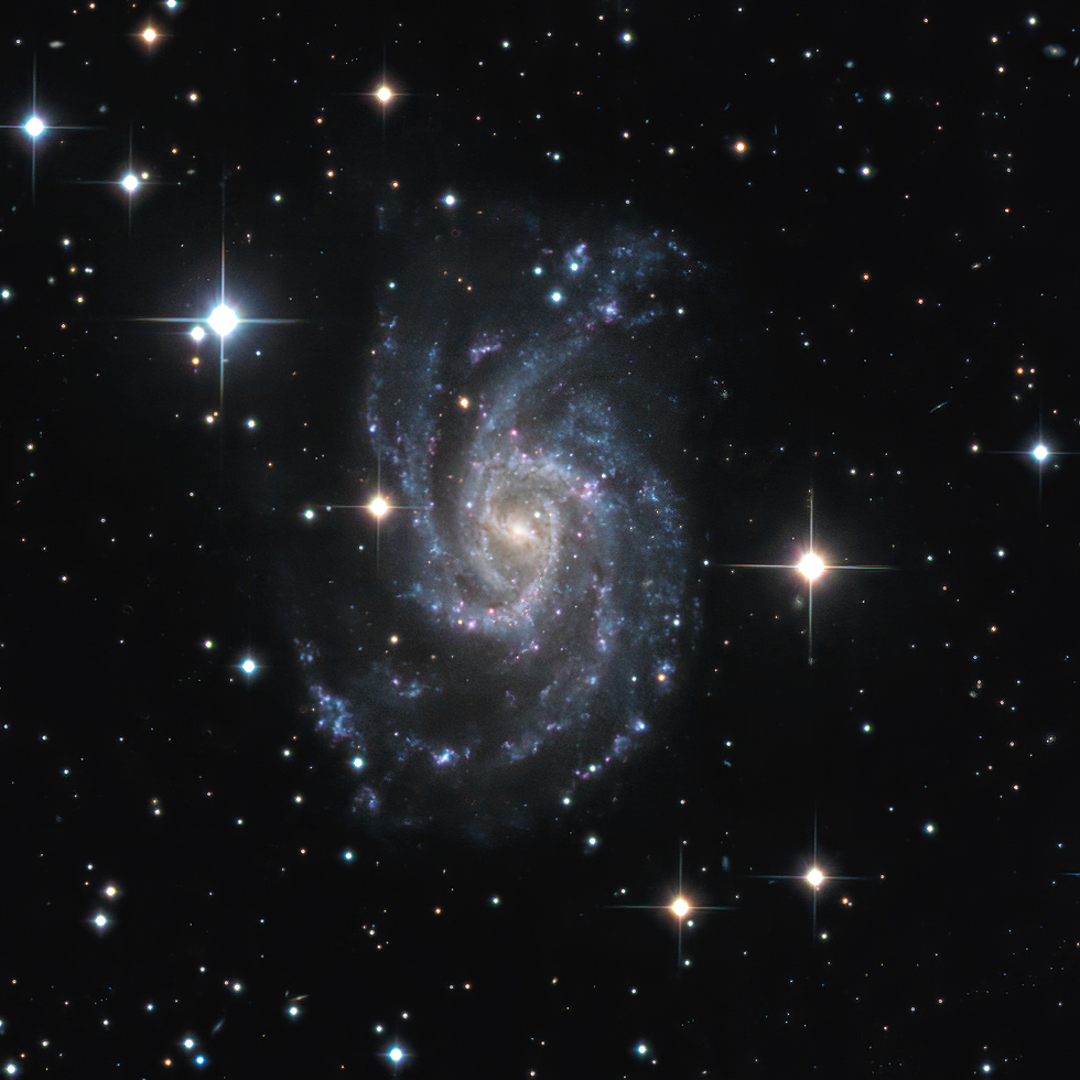 NGC 2835 - Spiral Galaxy in Hydra