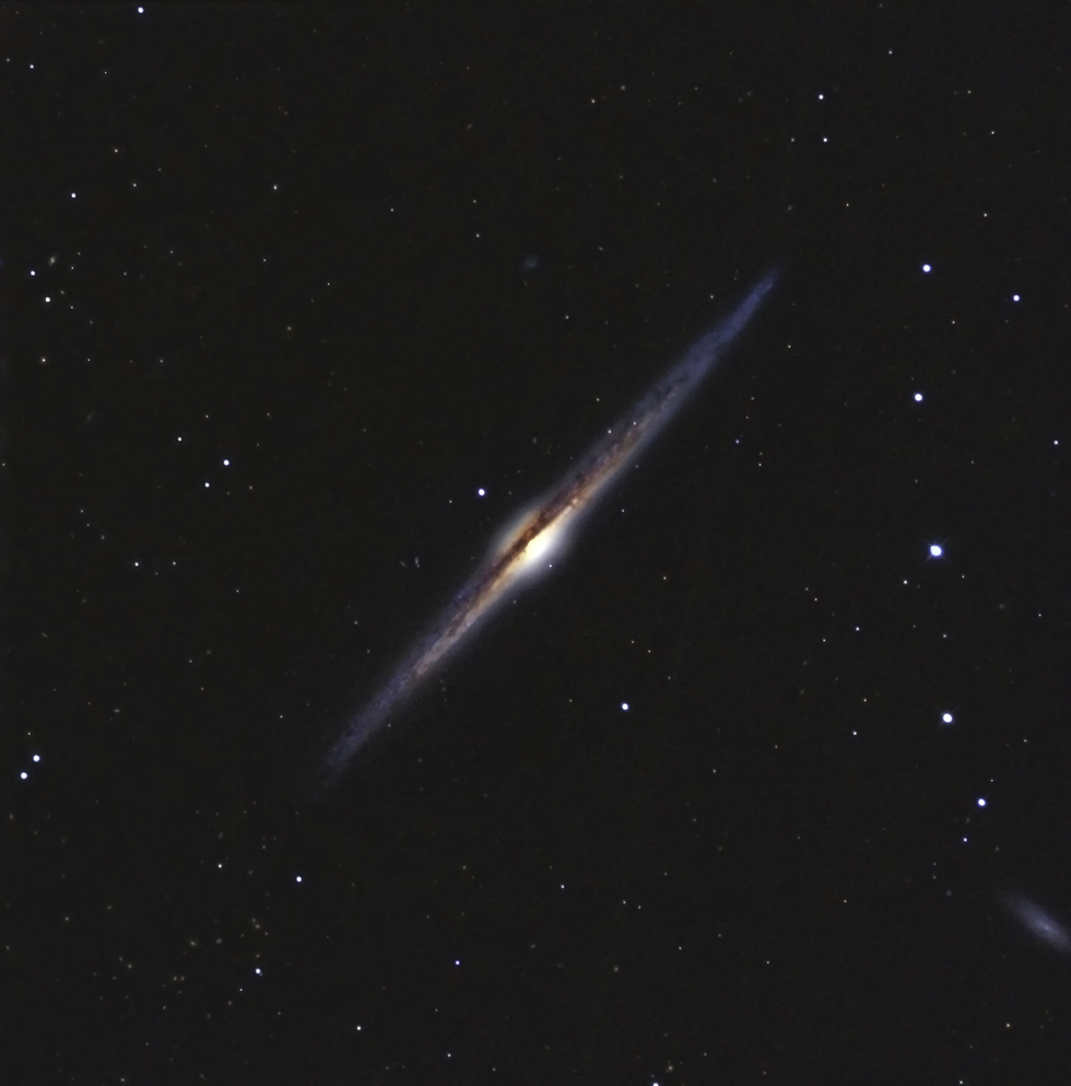 NGC 4565