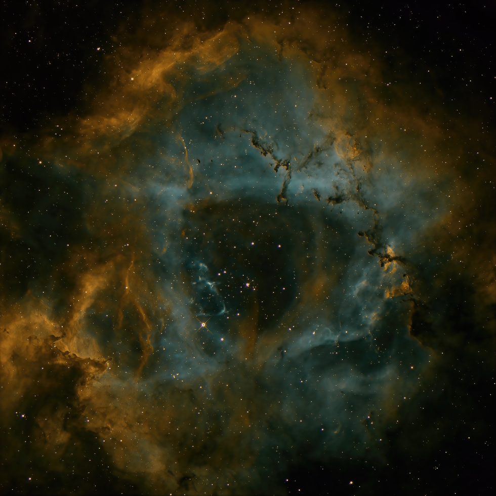 The Rosette Nebula (also known as Caldwell 49)