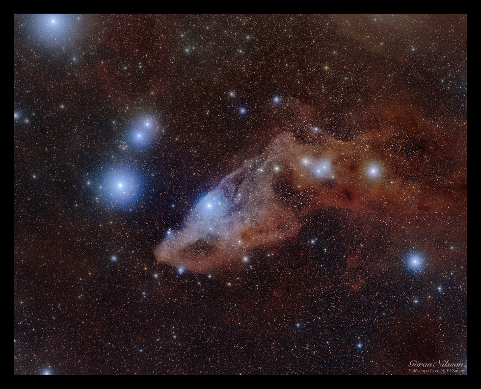 The Blue Horsehead Nebula IC4592