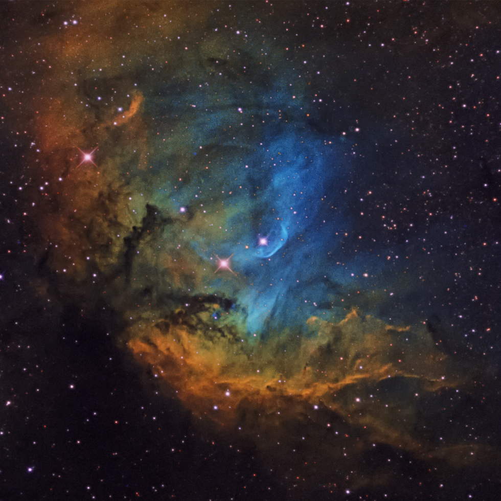 SH2-101 (The Tulip Nebula)