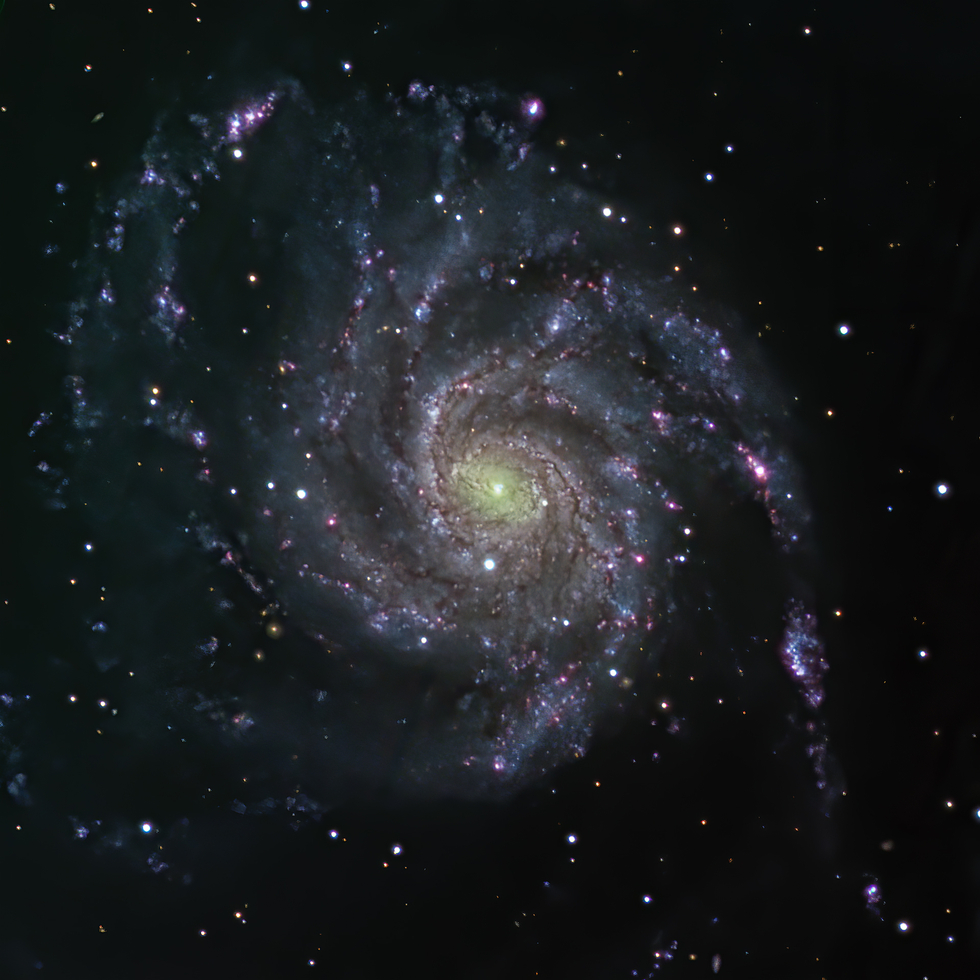 Pinwheel Galaxy