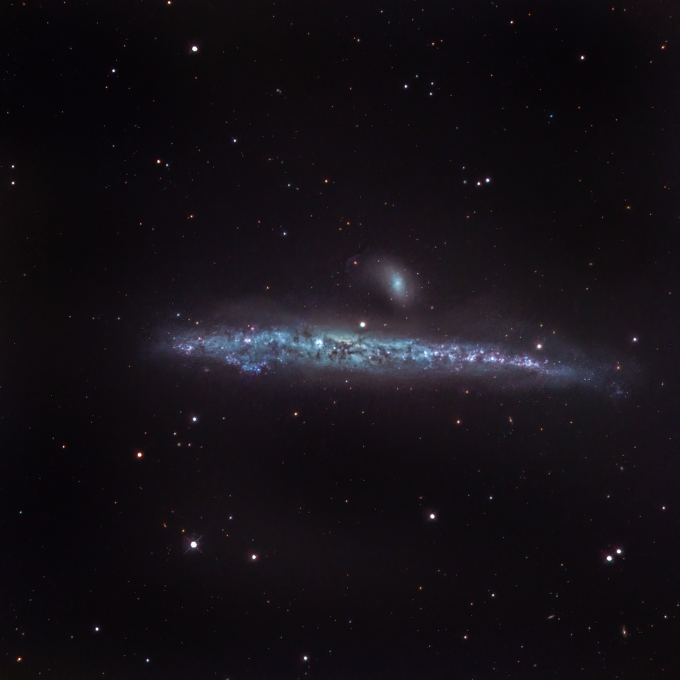 WHALE GALAXY