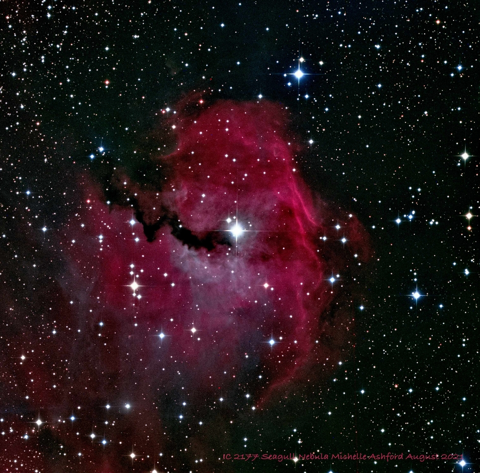 IC 2177 Seagull Nebula