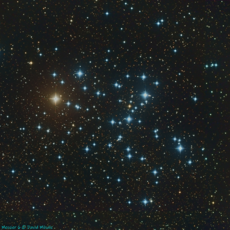 Open Cluster in Scorpius - M 6