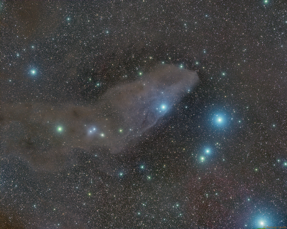 IC 4592 - Blue Horsehead Nebula