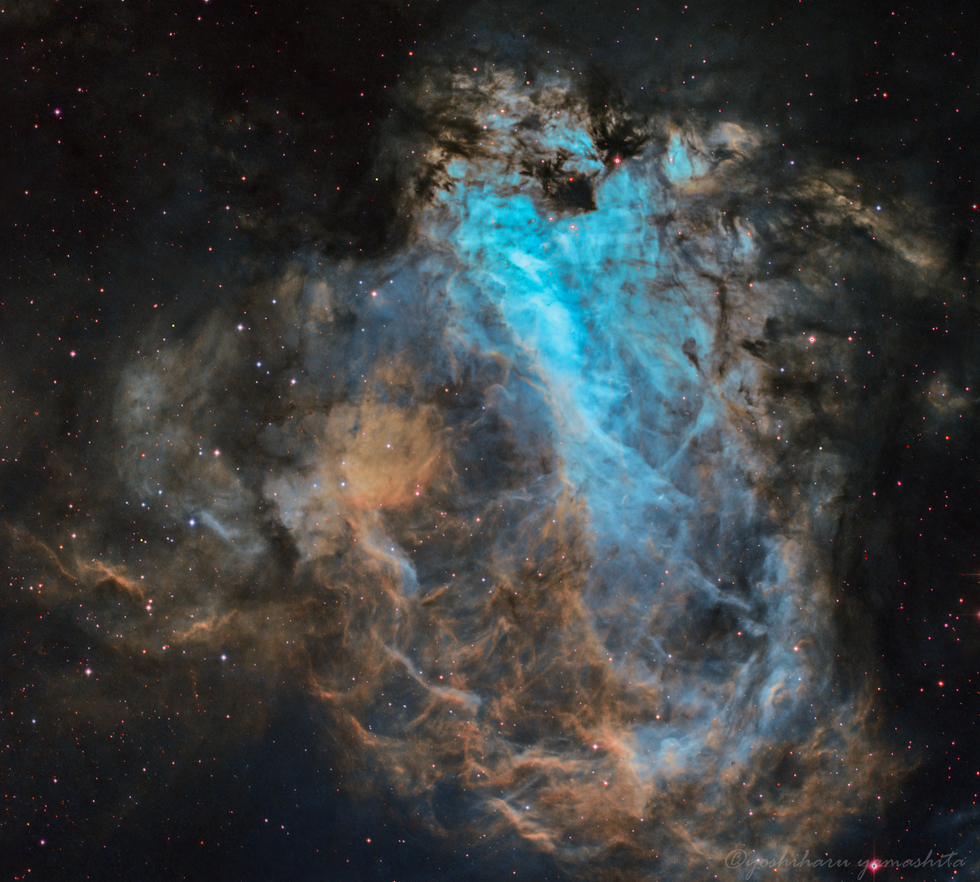 The Omega Nebula