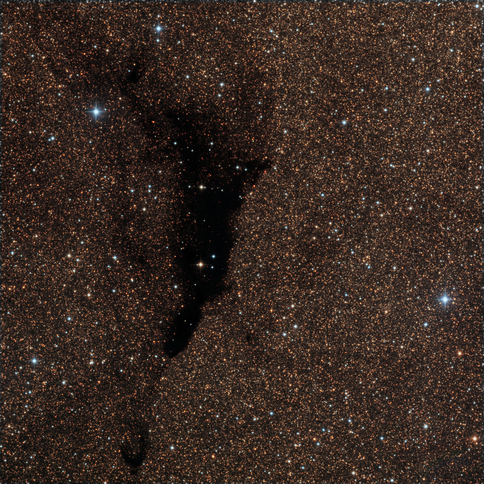 B252 - The Dolphin Nebula