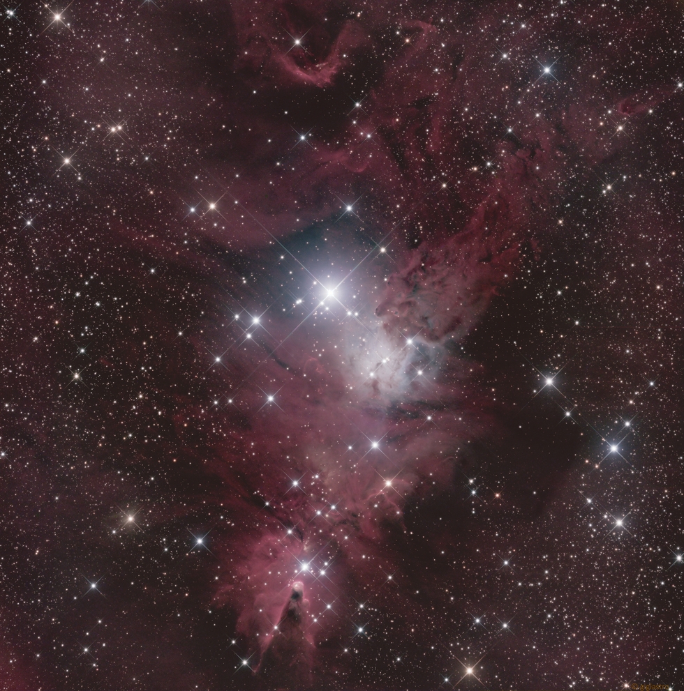NGC 2264 - Cone Nebula - Christmas Tree Cluster
