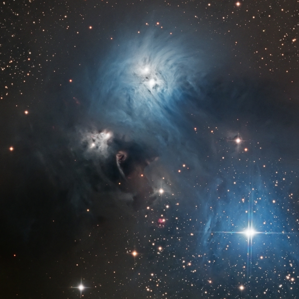 Reflection Nebulae in Corona Australis