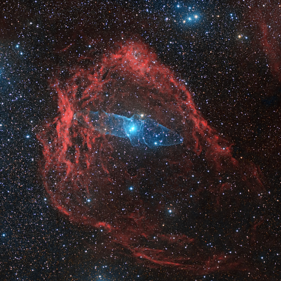 The Flying Bat (SH2_120) and the Squid (Ou4) Nebulae