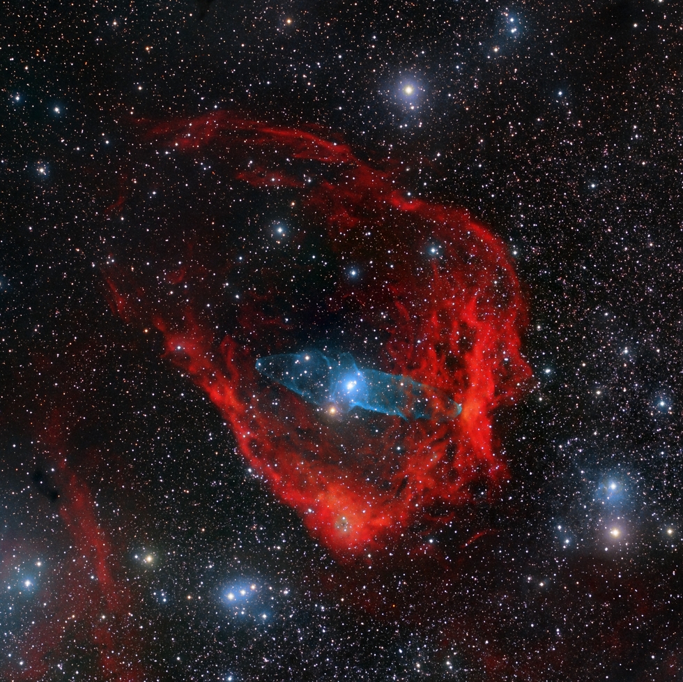 The Squid and the Flying Bat Nebulae