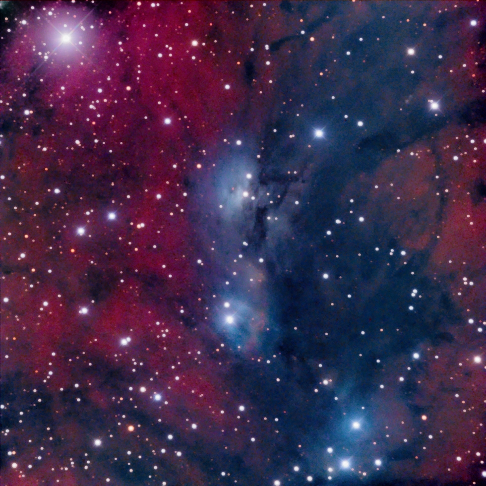 NGC 6914 (work in progress)