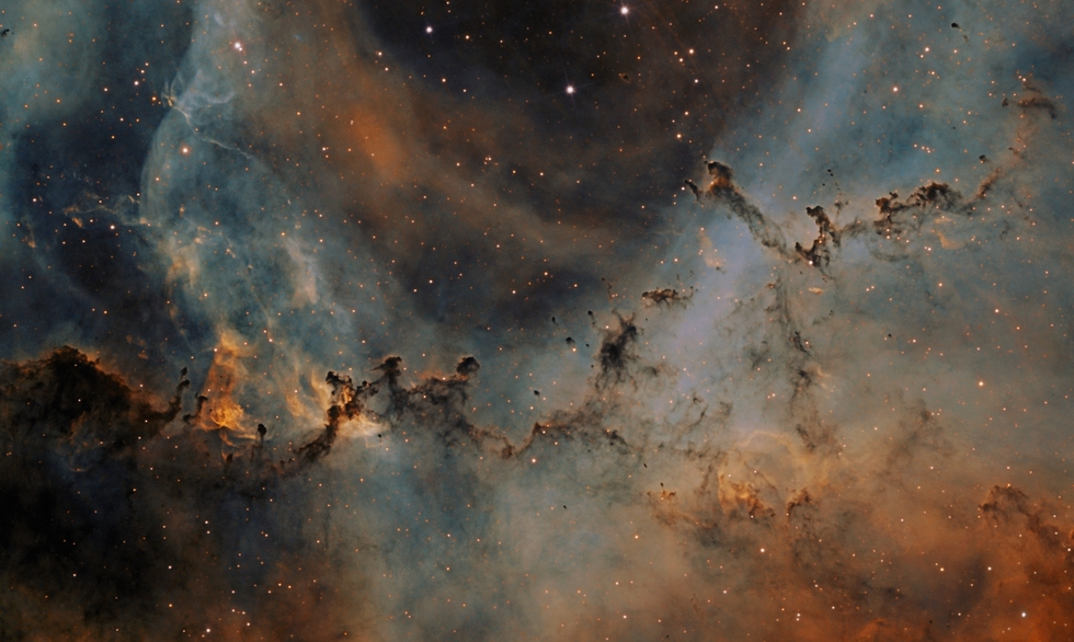 The Rosette Nebula (the zoo)