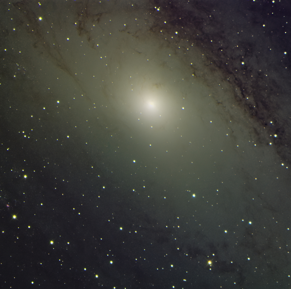 M31