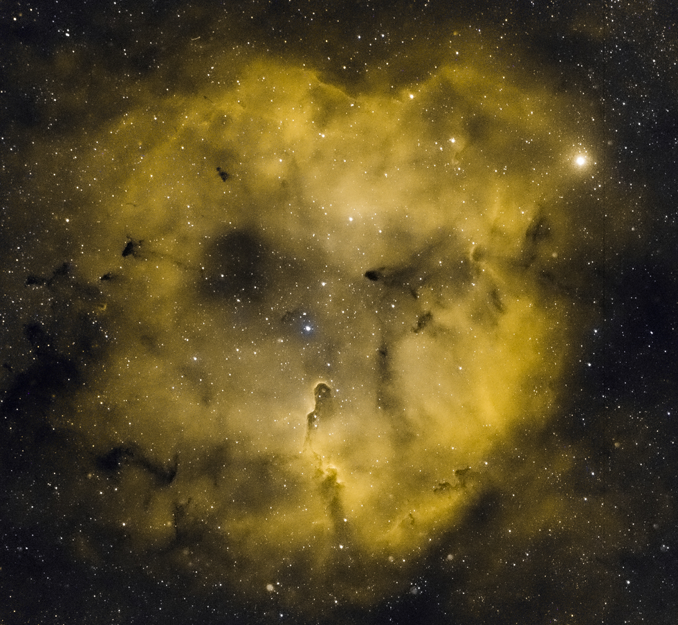 Elephant's Trunk Nebula