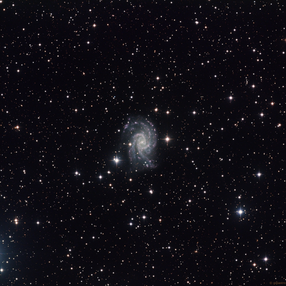 NGC 2835 - Spiral Galaxy in Hydra