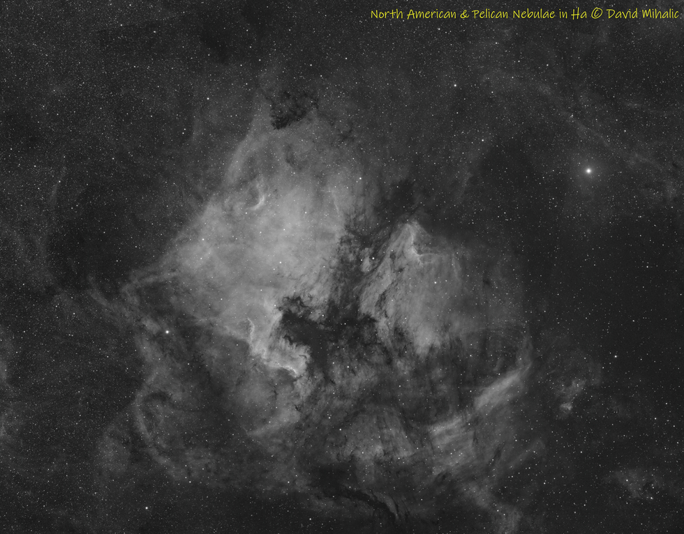 North American & Pelican nebulae