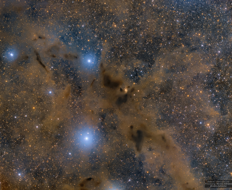 Barnard 228 - The Dark Wolf Nebula