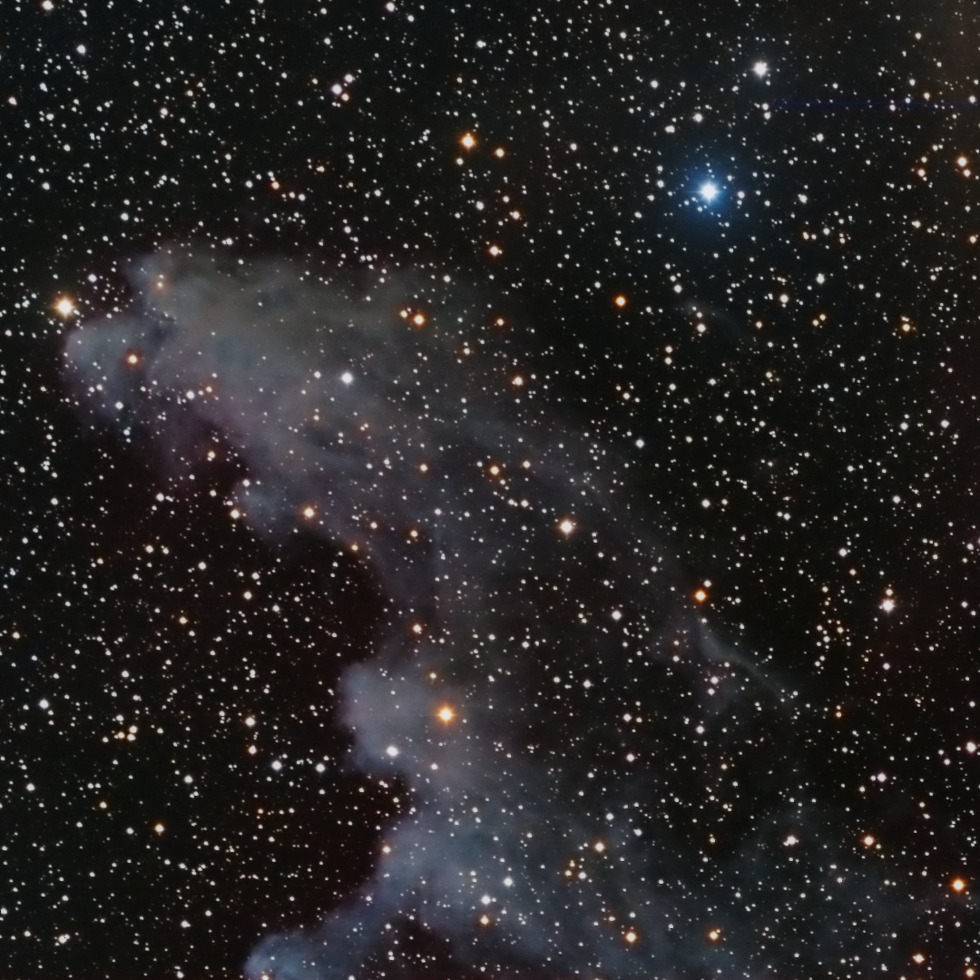 IC 2118 - Wtich Head Nebula